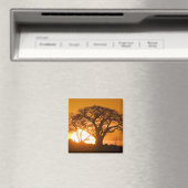 Afrika, Botswana, Ondergaande zon schetst Baobab i Magneet (Insitu (Vaatwasser))
