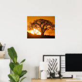 Afrika, Botswana, Ondergaande zon schetst Baobab i Poster (Thuiskantoor)