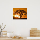 Afrika, Botswana, Ondergaande zon schetst Baobab i Poster (Keuken)
