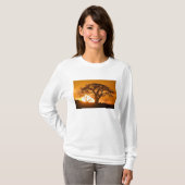 Afrika, Botswana, Ondergaande zon schetst Baobab i T-shirt (Voorkant volledig)