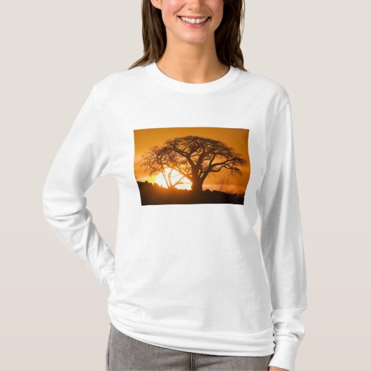 Afrika, Botswana, Ondergaande zon schetst Baobab i T-shirt (Voorkant)