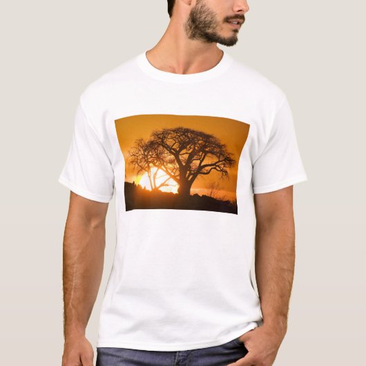 Afrika, Botswana, Ondergaande zon schetst Baobab i T-shirt (Voorkant)