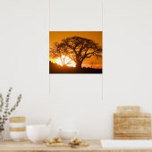 Afrika, Botswana, zonnesilhouettes Baobab Poster (Keuken)