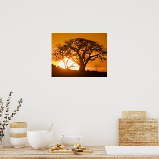 Afrika, Botswana, zonnesilhouettes Baobab Poster (Keuken)