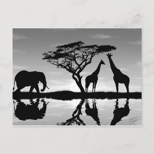 Afrika Briefkaart (Voorkant)