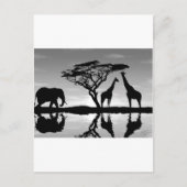 Afrika Briefkaart (Voorkant)