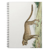 Afrika Cheetah Illustratie Notitieboek (Voorkant)