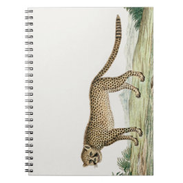 Afrika Cheetah Illustratie Notitieboek