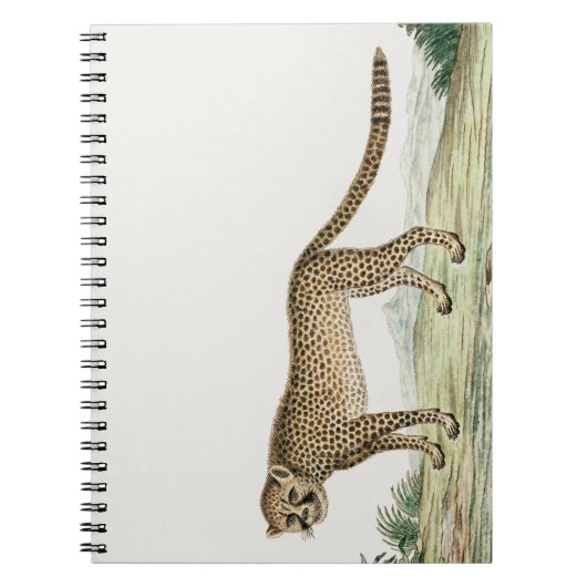 Afrika Cheetah Illustratie Notitieboek (Voorkant)