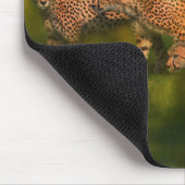 Afrika - Cheetah World Art Mousepad Muismat (Hoek)