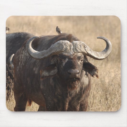 Afrika - De os met grote hoorn Muismat (Voorkant)