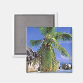 Afrika, de Seychellen, La Digue Island. Graniet 2 Magneet (Voorkant / Achterkant)