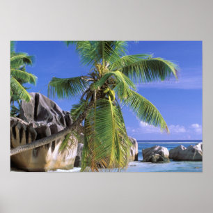 Afrika, de Seychellen, La Digue Island. Graniet Poster
