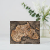 Afrika dinosaurus fossiel briefkaart (Staand voorkant)