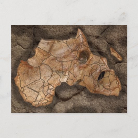 Afrika dinosaurus fossiel briefkaart (Voorkant)