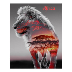 Afrika - Een illustratie van een leeuw Perfect Poster