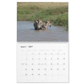 AFRIKA - Een miljoen dieren kalender 2014 (twee bl (Mar 2027)