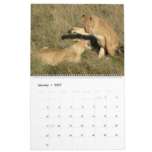 AFRIKA - Een miljoen dieren kalender 2014 (twee bl (Jan 2027)