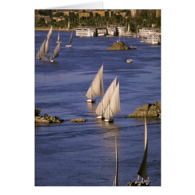 Afrika, Egypte, Boven-Egypte, Aswan. Feluccas (Voorkant)