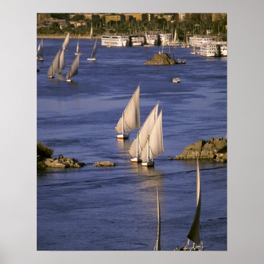 Afrika, Egypte, Boven-Egypte, Aswan. Feluccas Poster (Voorkant)