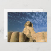 Afrika, Egypte, Caïro, Giza Plateau. Sphinx Briefkaart (Voorkant / Achterkant)