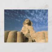 Afrika, Egypte, Caïro, Giza Plateau. Sphinx Briefkaart (Voorkant)