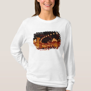 Afrika, Egypte, Caïro, Moskee van Mohammed Ali, De T-shirt