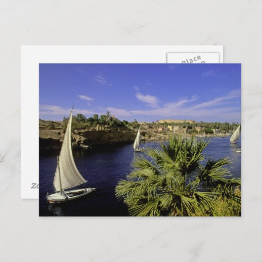 Afrika, Egypte, Opper-Egypte, Aswan. Feluccas 2 Briefkaart (Voorkant / Achterkant)