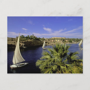Afrika, Egypte, Opper-Egypte, Aswan. Feluccas 2 Briefkaart