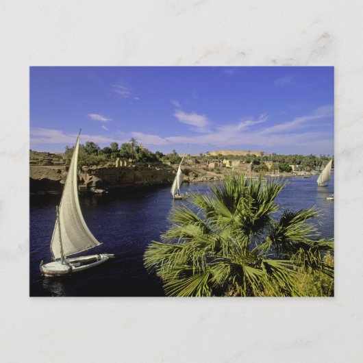 Afrika, Egypte, Opper-Egypte, Aswan. Feluccas 2 Briefkaart (Voorkant)