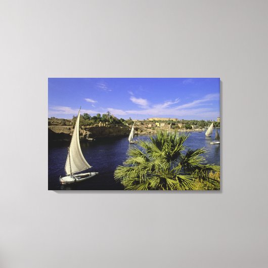 Afrika, Egypte, Opper-Egypte, Aswan. Feluccas 2 Canvas Afdruk (Voorkant)