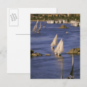 Afrika, Egypte, Opper-Egypte, Aswan. Feluccas Briefkaart (Voorkant / Achterkant)