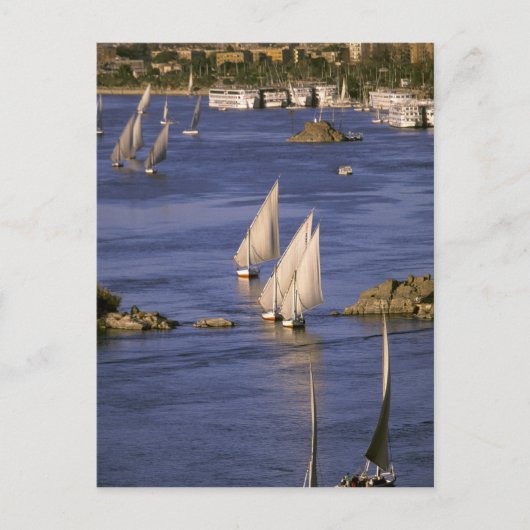 Afrika, Egypte, Opper-Egypte, Aswan. Feluccas Briefkaart (Voorkant)