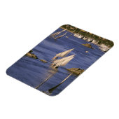 Afrika, Egypte, Opper-Egypte, Aswan. Feluccas Magneet (Linkerzijde)