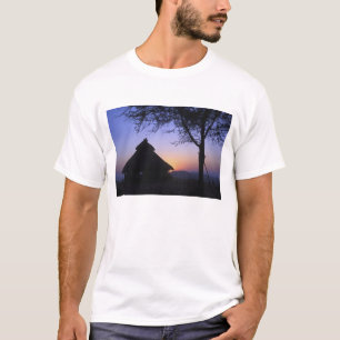 Afrika, Ethiopië, de Omo-rivierregio, zonsonderga T-shirt