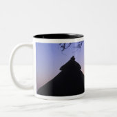 Afrika, Ethiopië, de Omo-rivierregio, zonsondergan Tweekleurige Koffiemok (Links)