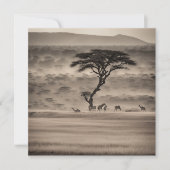 Afrika Feestdagenkaart (Voorkant)