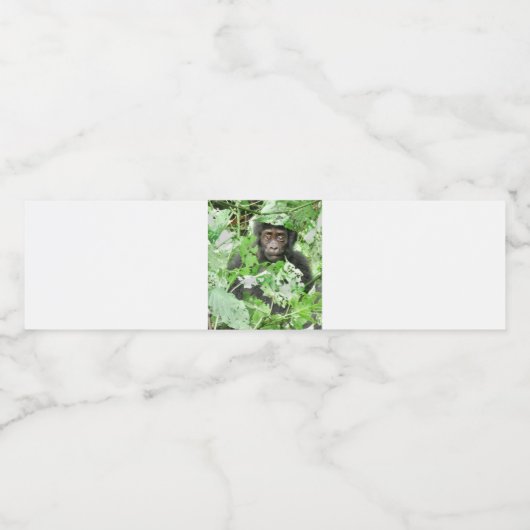 Afrika - Gorilla Baby Waterfles Etiket (Enkel label)