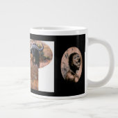 Afrika Grote Koffiekop (Rechts)