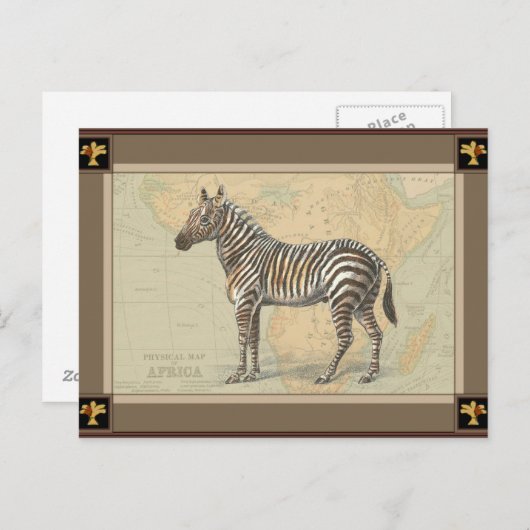 Afrika-kaart en een Zebra Briefkaart (Voorkant / Achterkant)