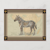 Afrika-kaart en een Zebra Briefkaart (Voorkant)