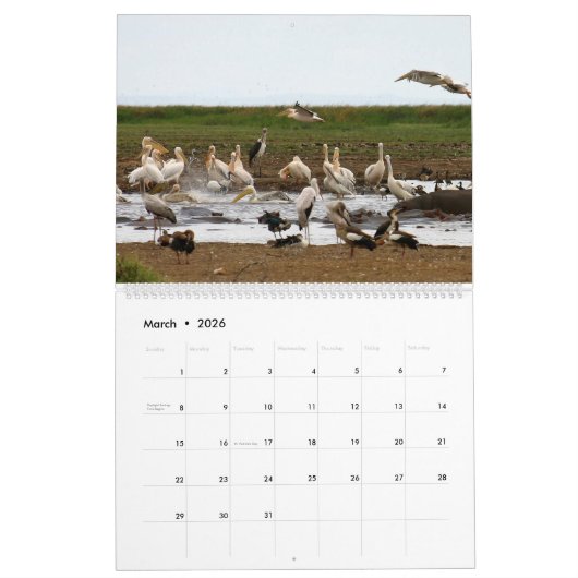 Afrika Kalender (Mar 2026)