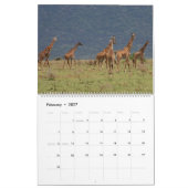 Afrika Kalender (Feb 2027)