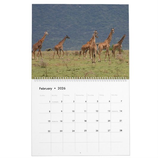 Afrika Kalender (Feb 2026)