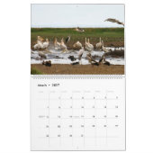 Afrika Kalender (Mar 2027)