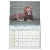 Afrika Kalender (Jan 2026)