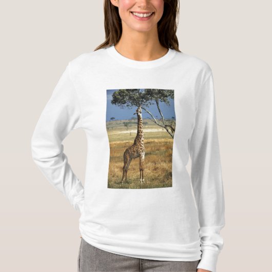 Afrika, Kenia, Amboseli NP. A Common, of Masai, T-shirt (Voorkant)