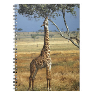Afrika, Kenia, Amboseli NP. Een gewone, of Masai, Notitieboek