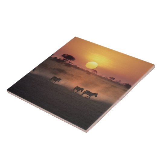 Afrika, Kenia, Amboseli NP. Zebra loop naar de Tegeltje (Zijkant)