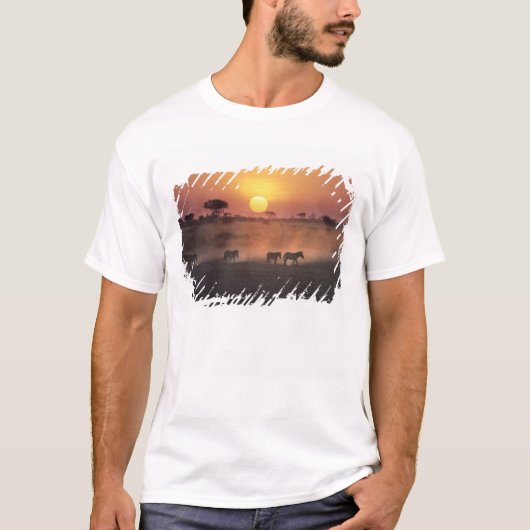 Afrika, Kenia, Amboseli NP. Zebras lopen naar de T-shirt (Voorkant)